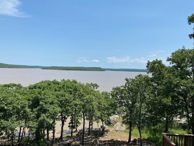 View from the back porch. 