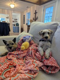 Very spacious living room with Roku TV