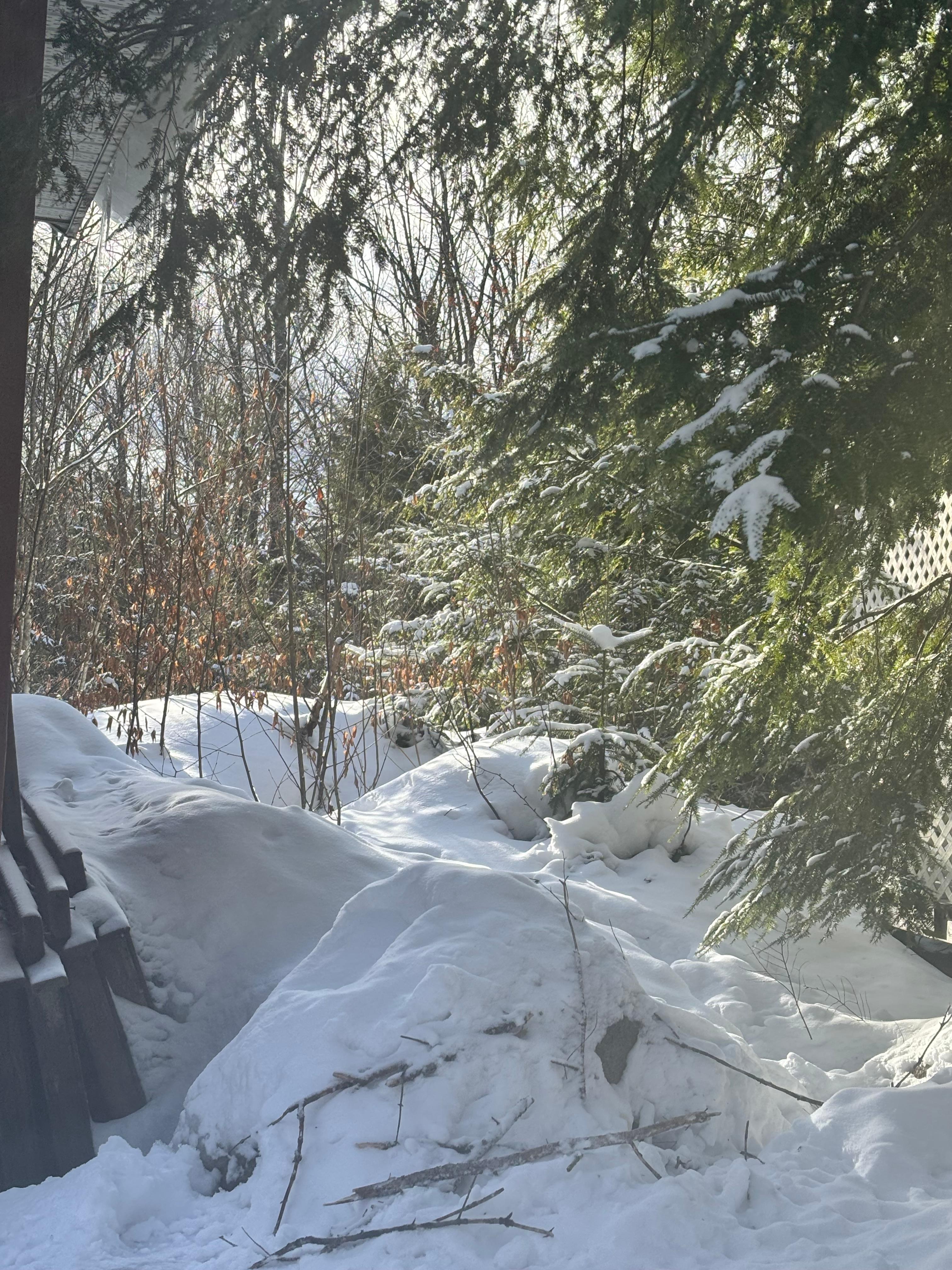 Winter Wonderland views!