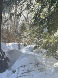 Winter Wonderland views!