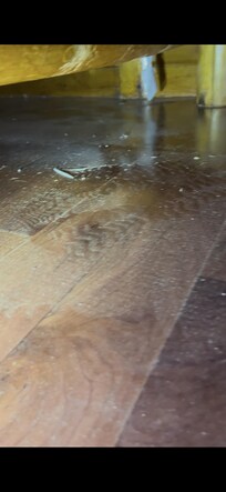 Under the bed with the nasty rug