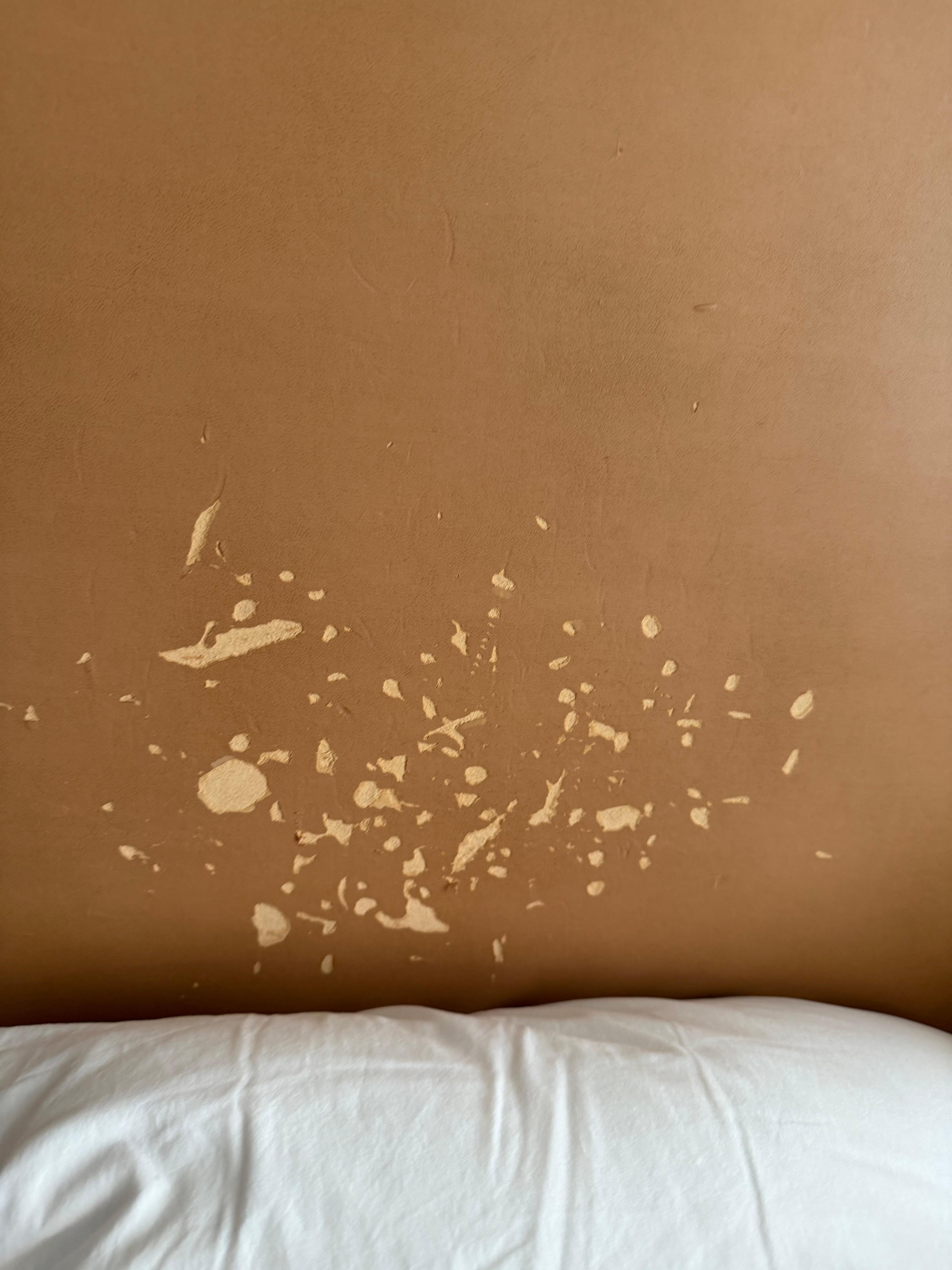 This is a picture of the headboard 
