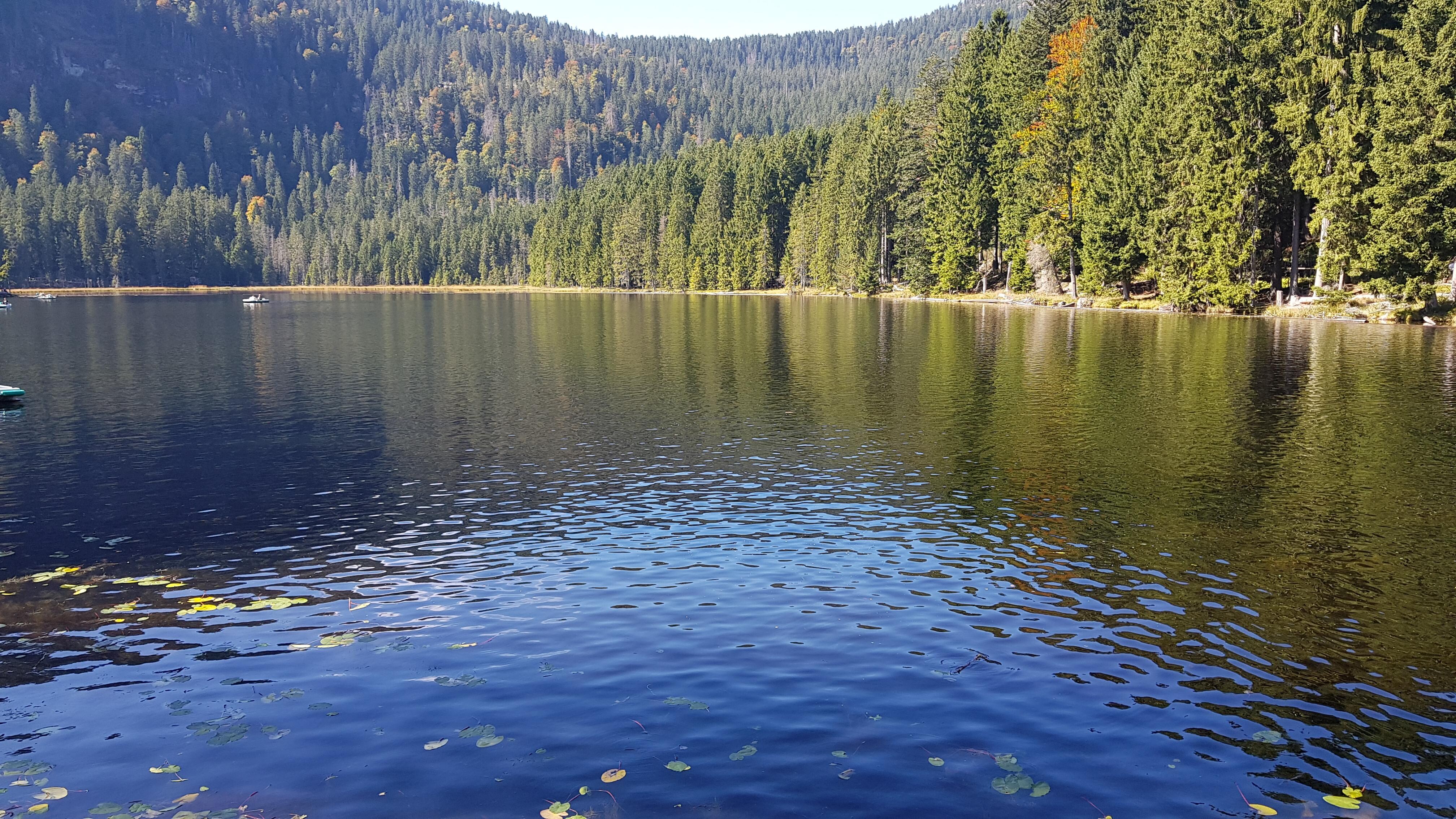 großer Arbersee