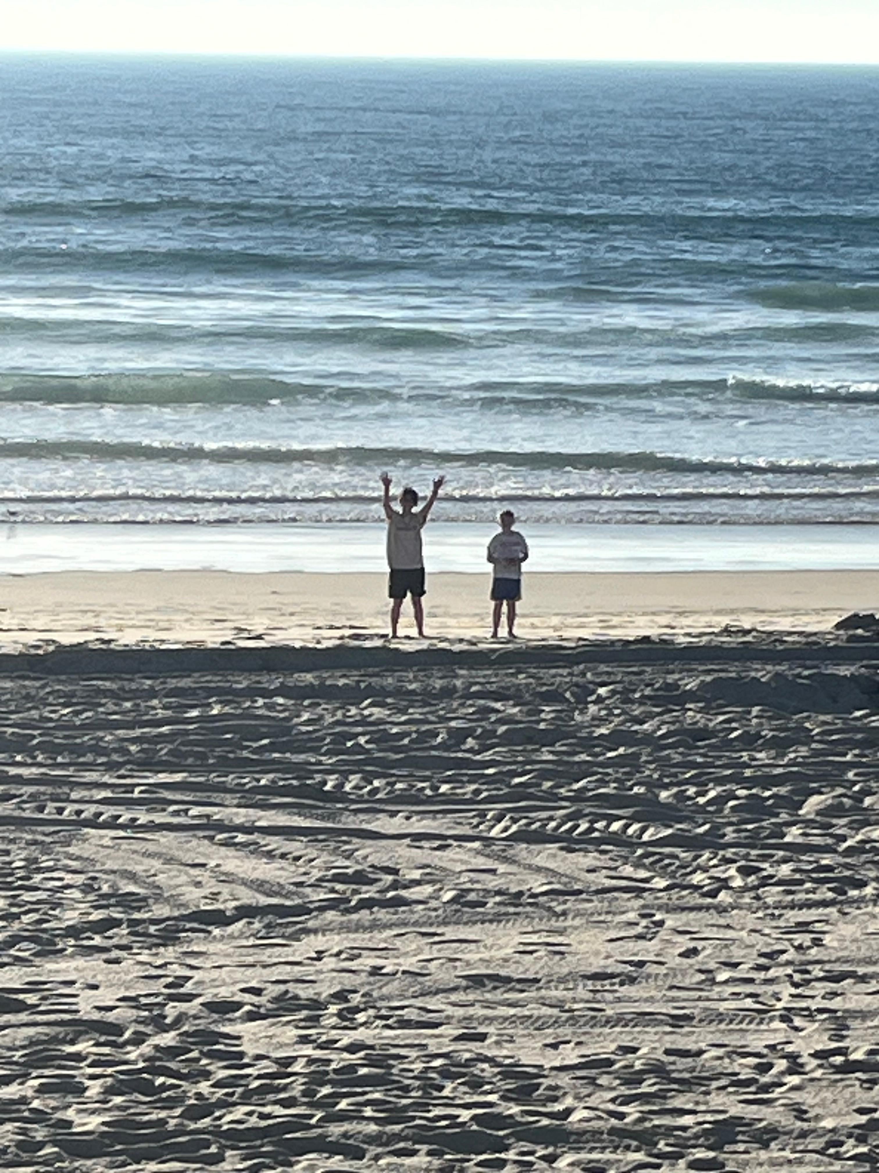 The “front” yard. 