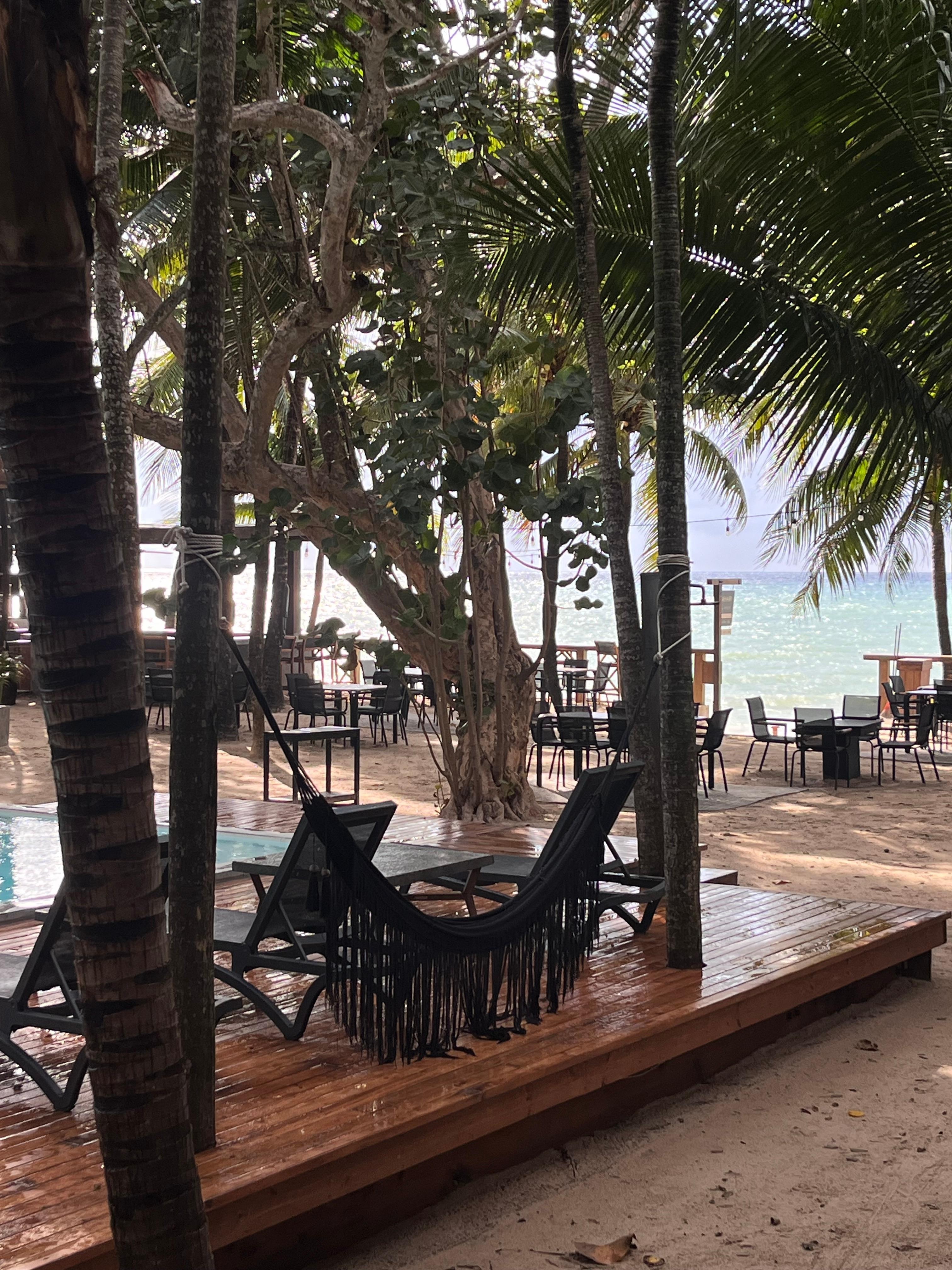 The view from my room. 