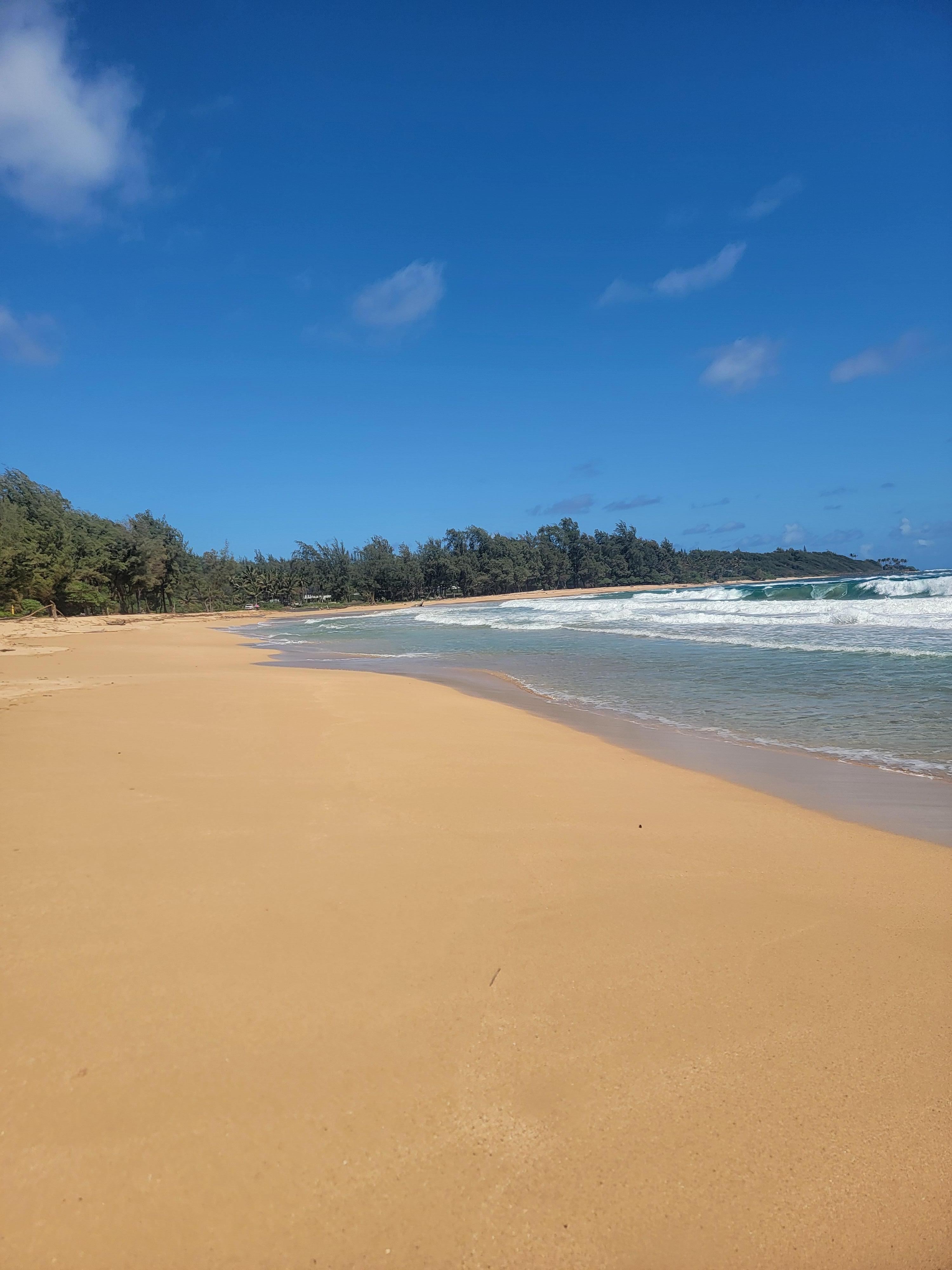 Morning walk on an almost private beach!