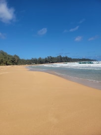 Morning walk on an almost private beach!