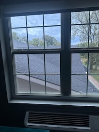 My garden view