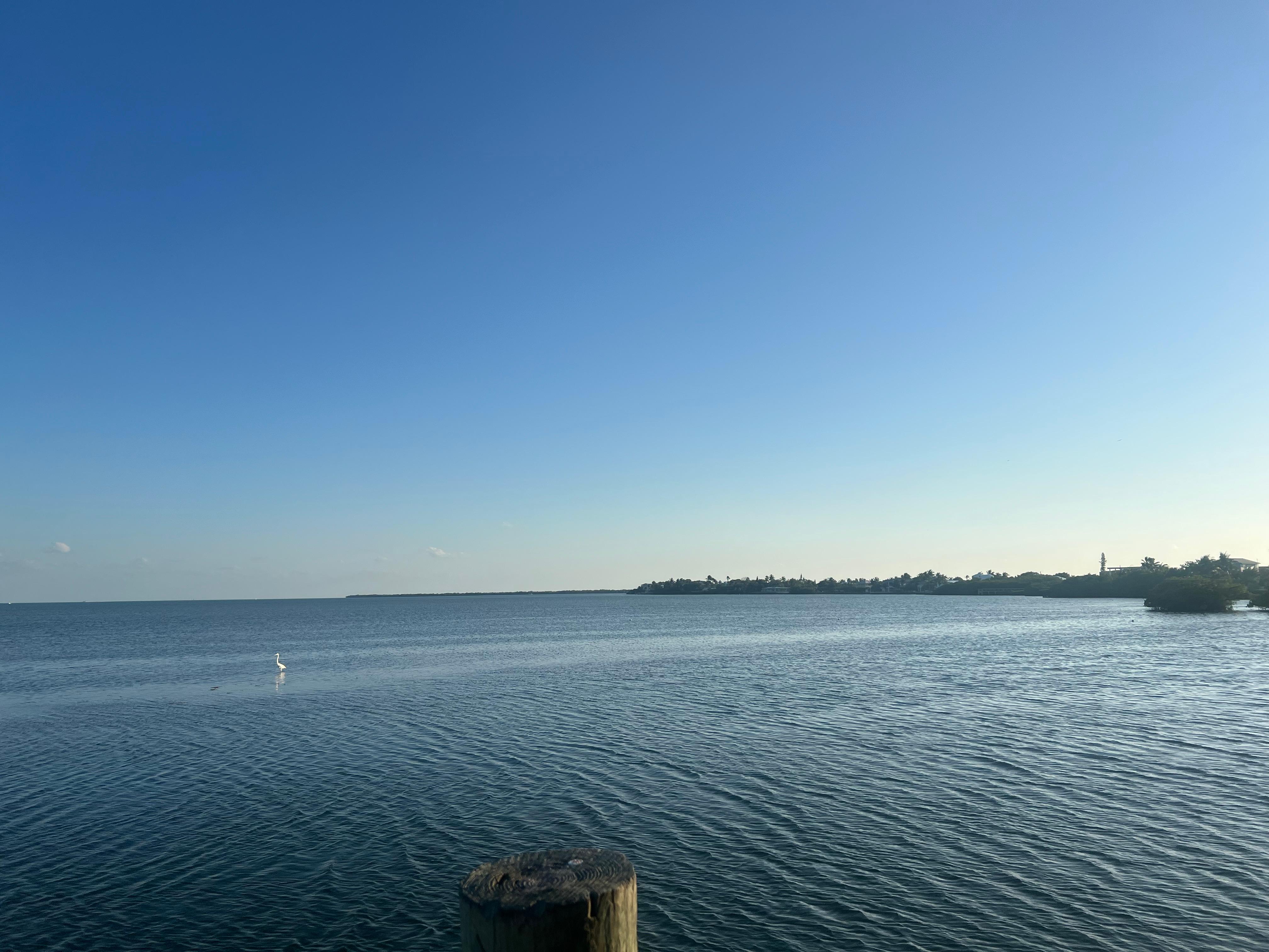 The view from the walkway