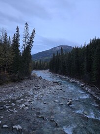 Walk on Toby Creek