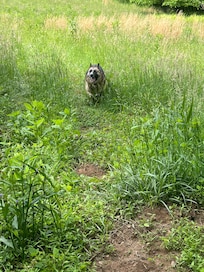 Exploring the trails