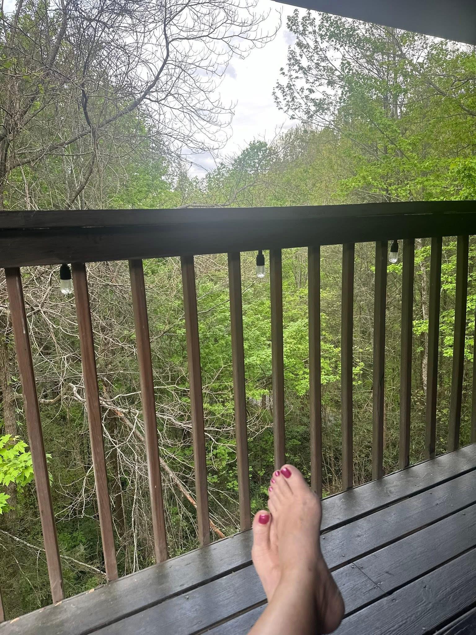 The view