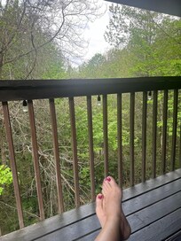 The view