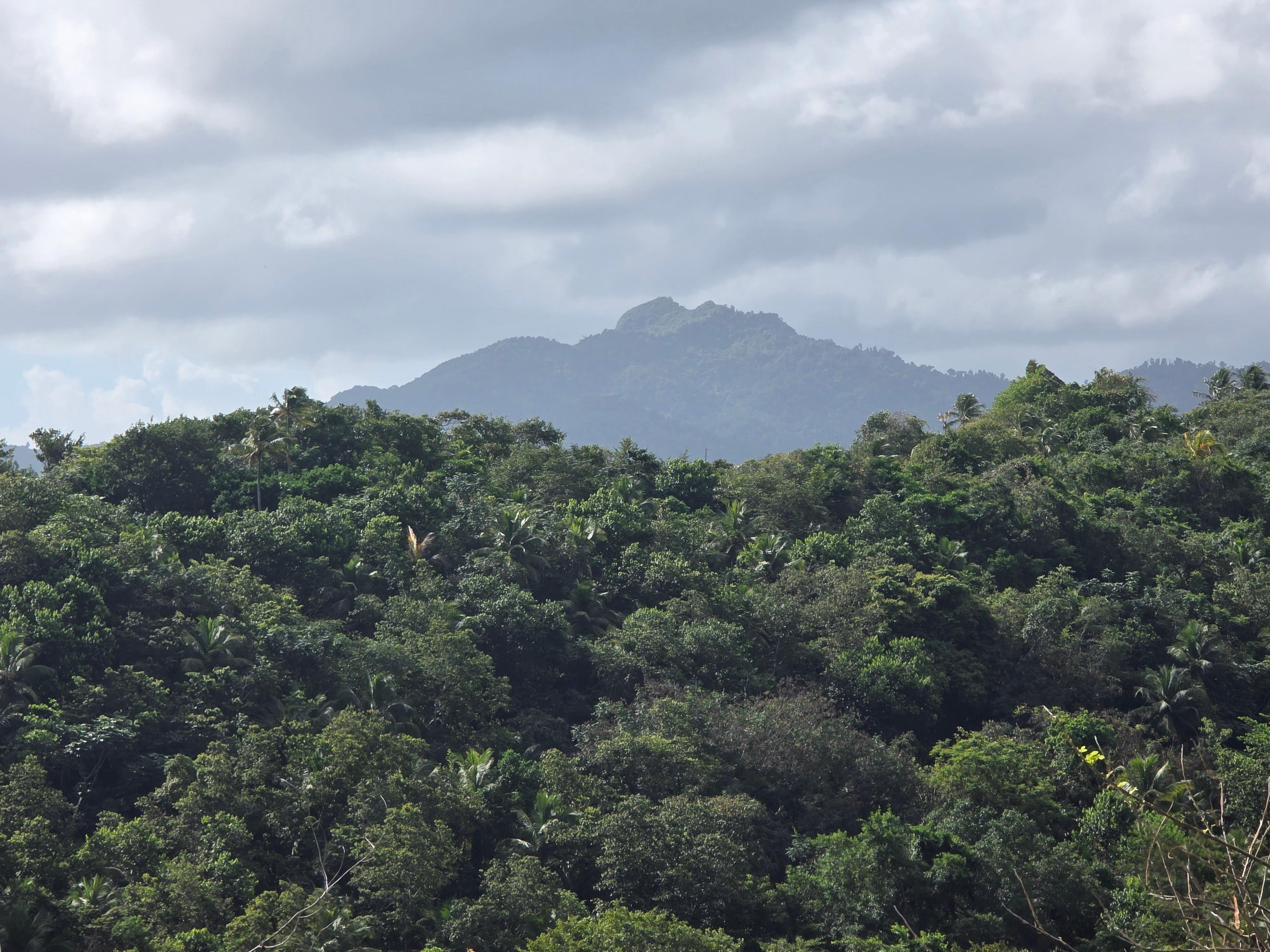 And also mountain views from the back yard.