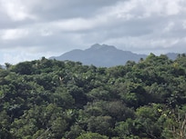 And also mountain views from the back yard.