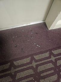 I dont know? Trash? Was there when we arrived