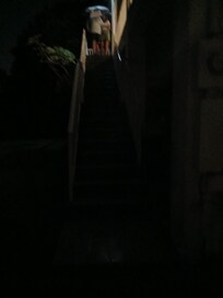 No light and loose rail on a 20 step stairwell