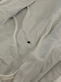 Holes in the threadbare sheets