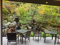 Beautiful garden