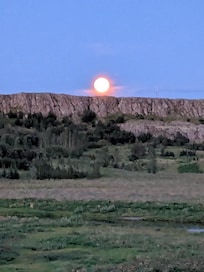 The moon shining so bright at almost midnight.