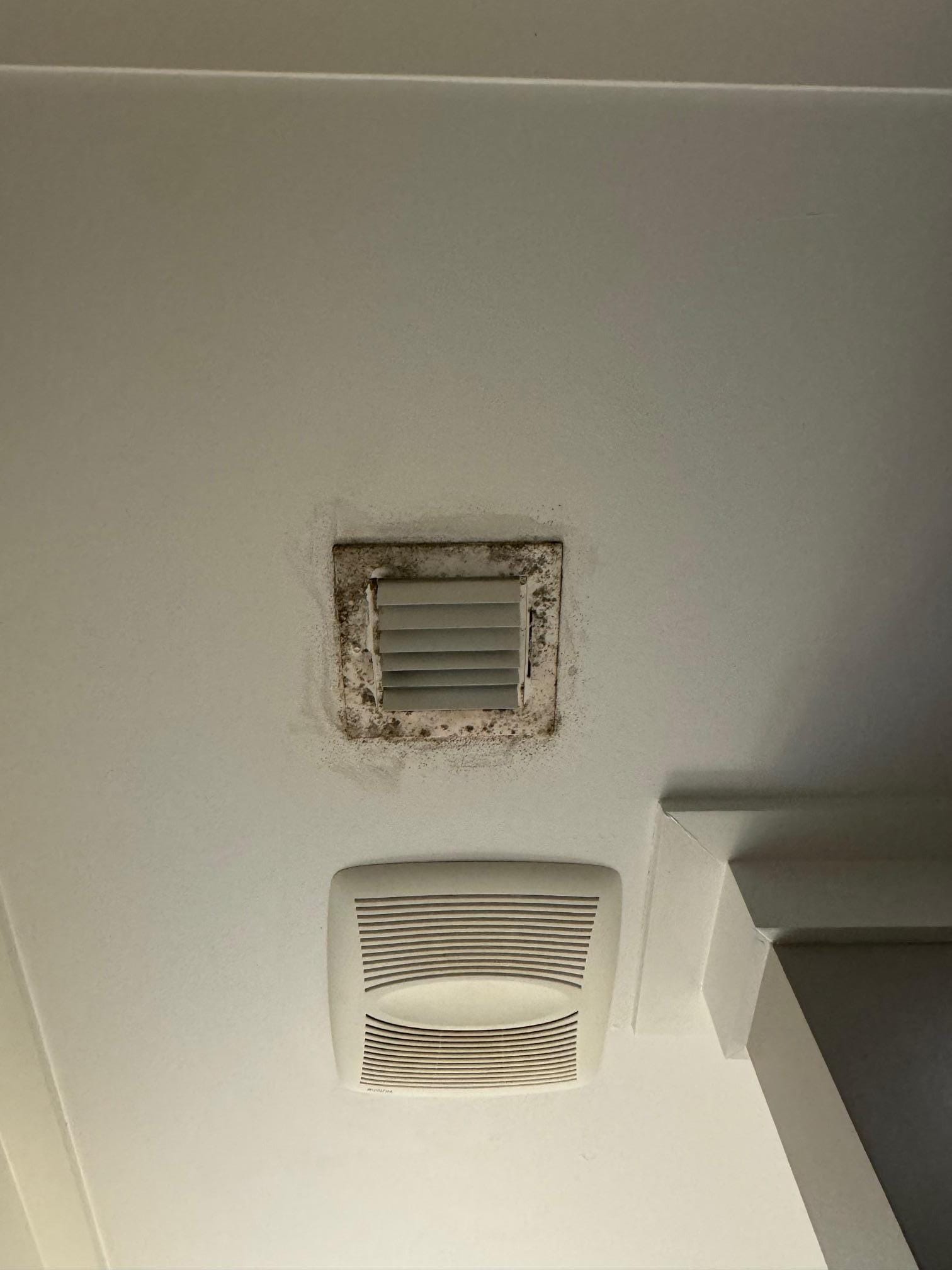 Moldy bathroom vent.