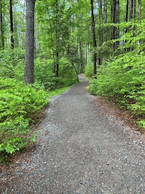 Trail at Hooker Falls