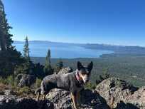 Top of Watson peak