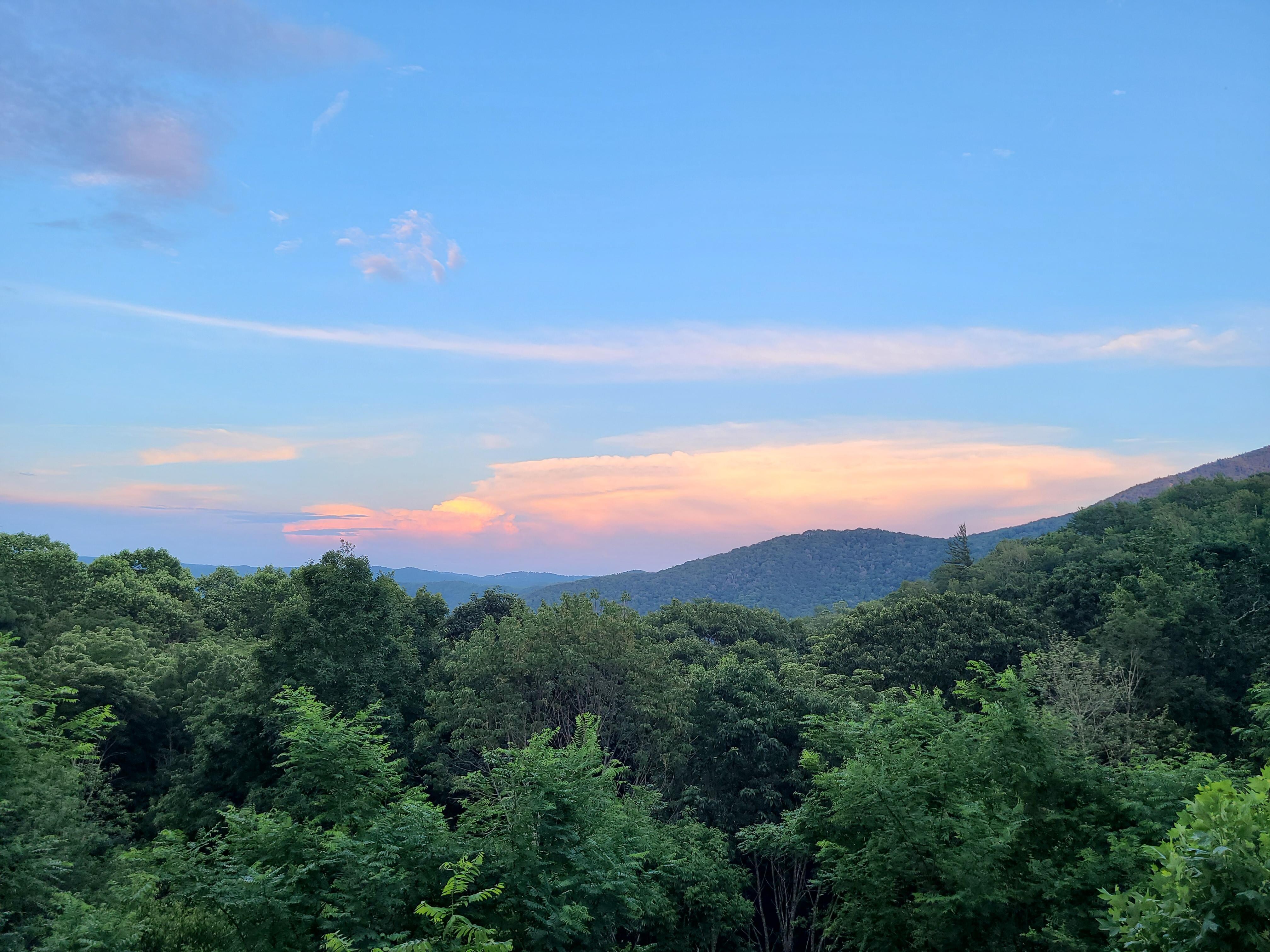 View from the deck