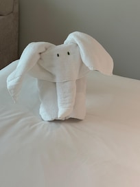 Housekeeping
