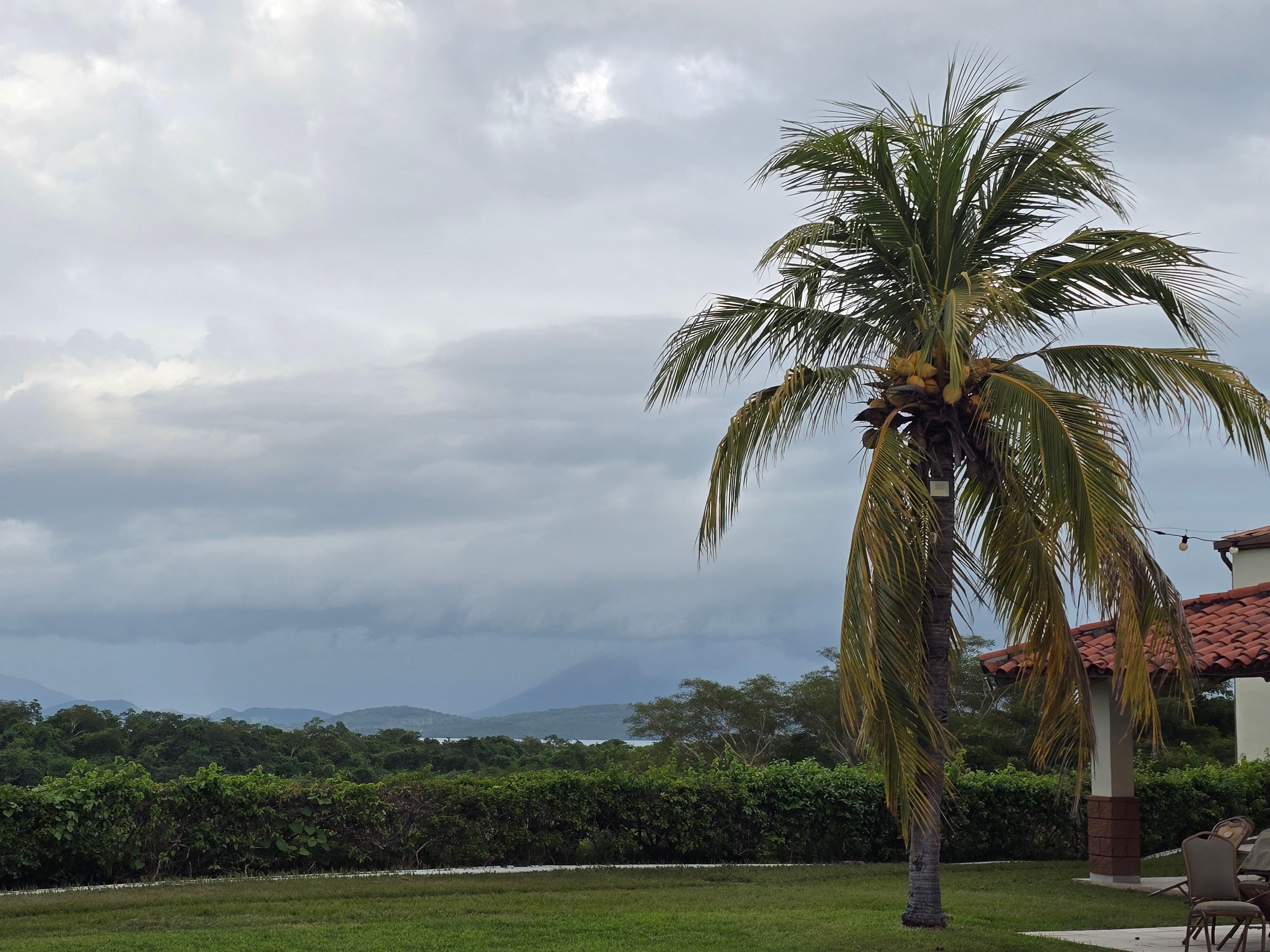 View from hotel