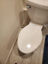 Toilet faces wall