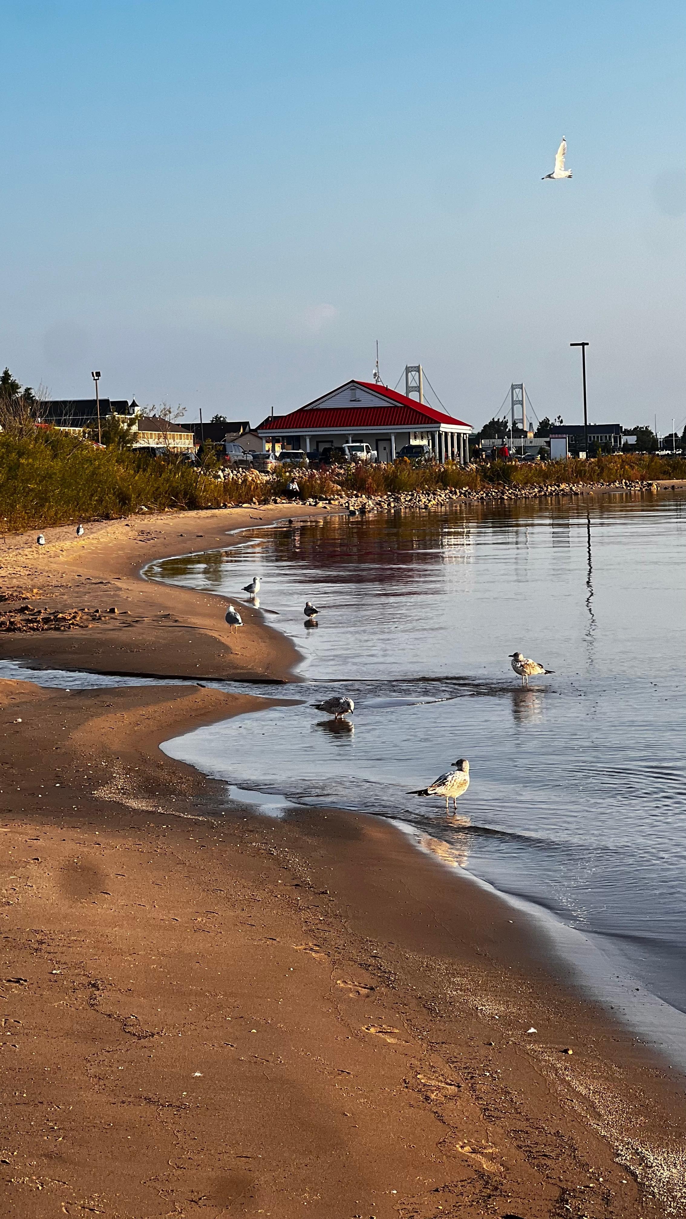 The view from the beach when you look to the left 