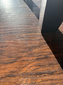 Crumbs and hair on floor