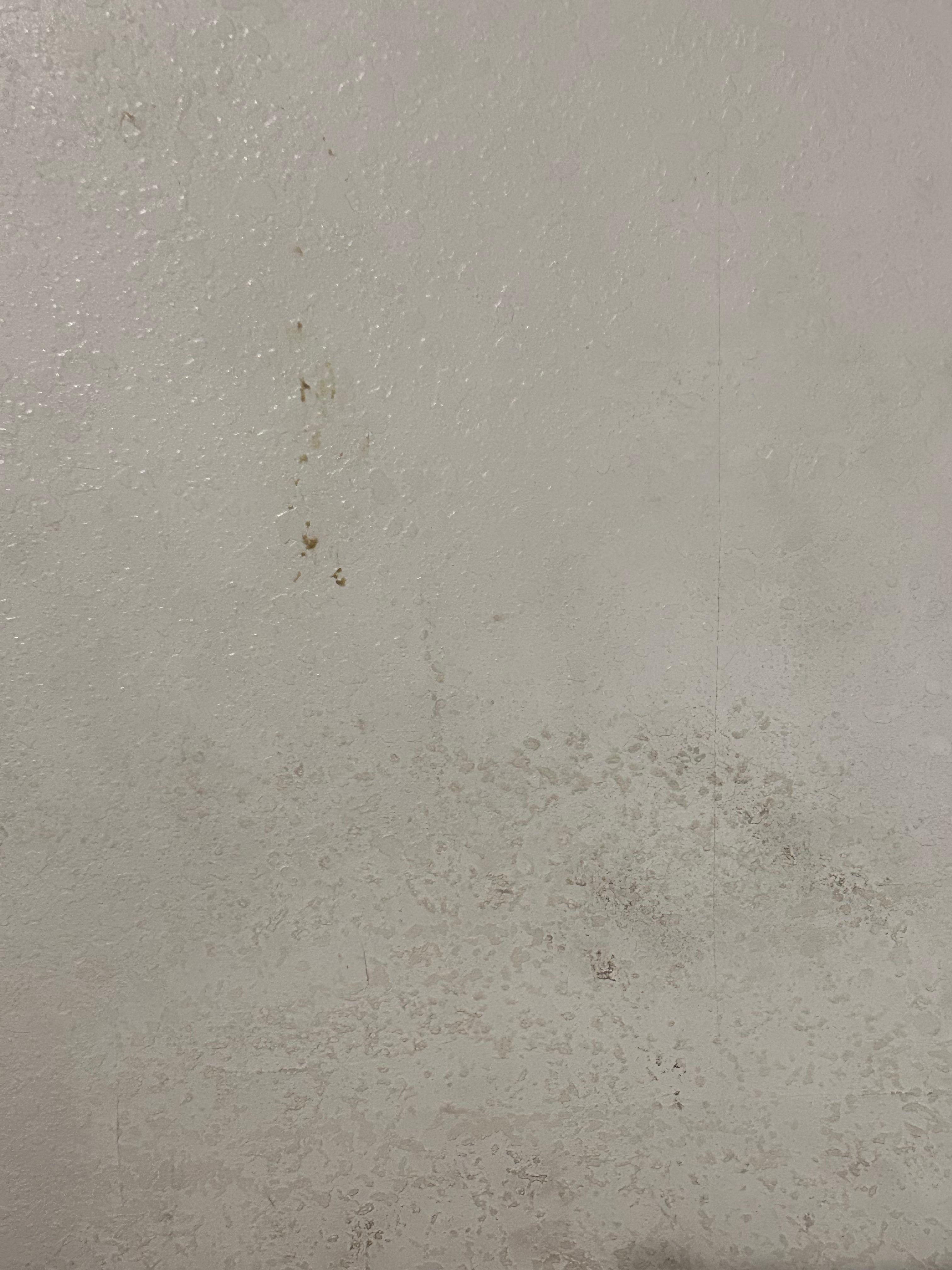Dirty/moldy walls 