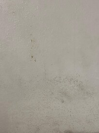 Dirty/moldy walls
