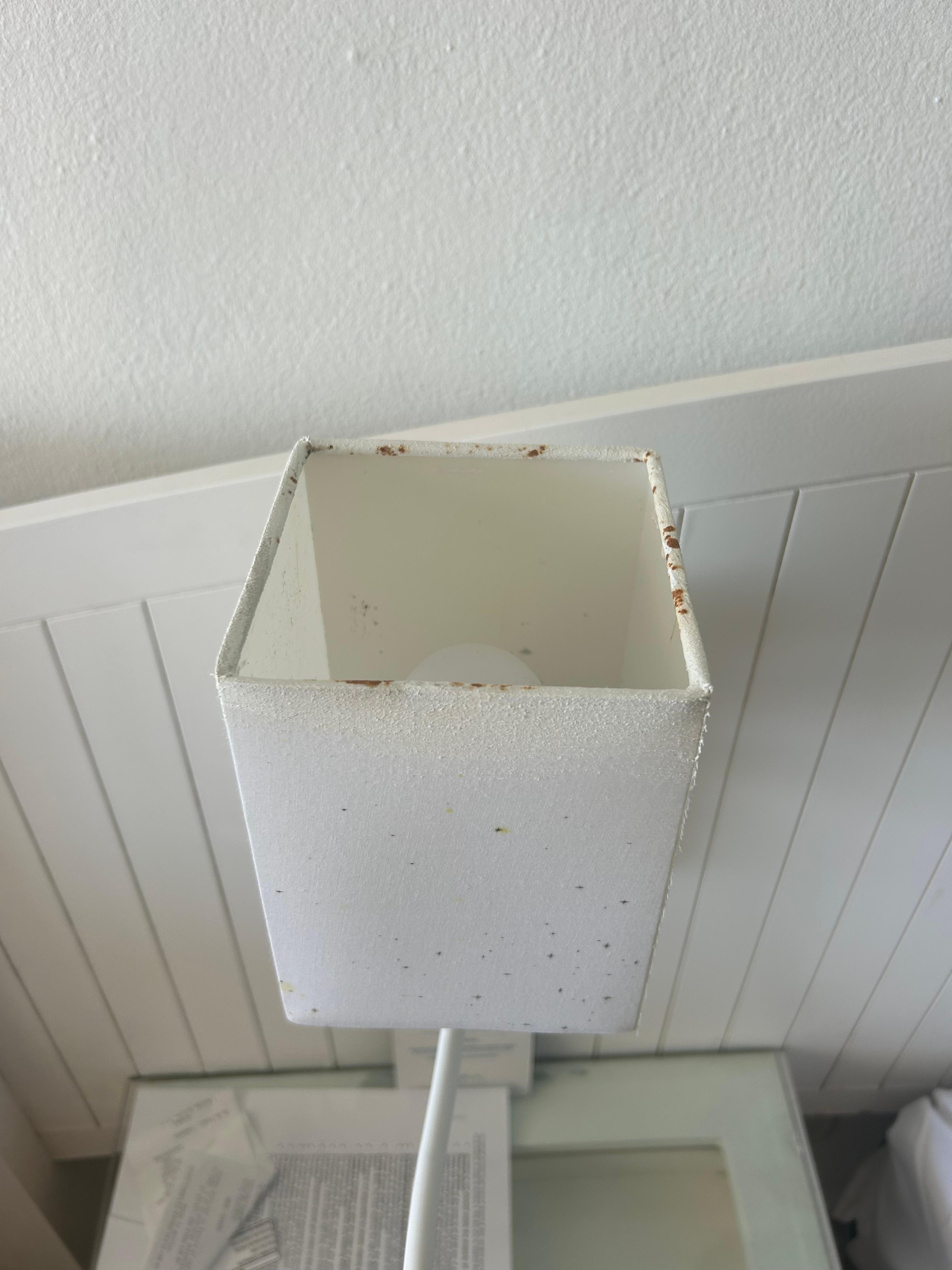 All the mold and rust on the night lamp inches away from your head