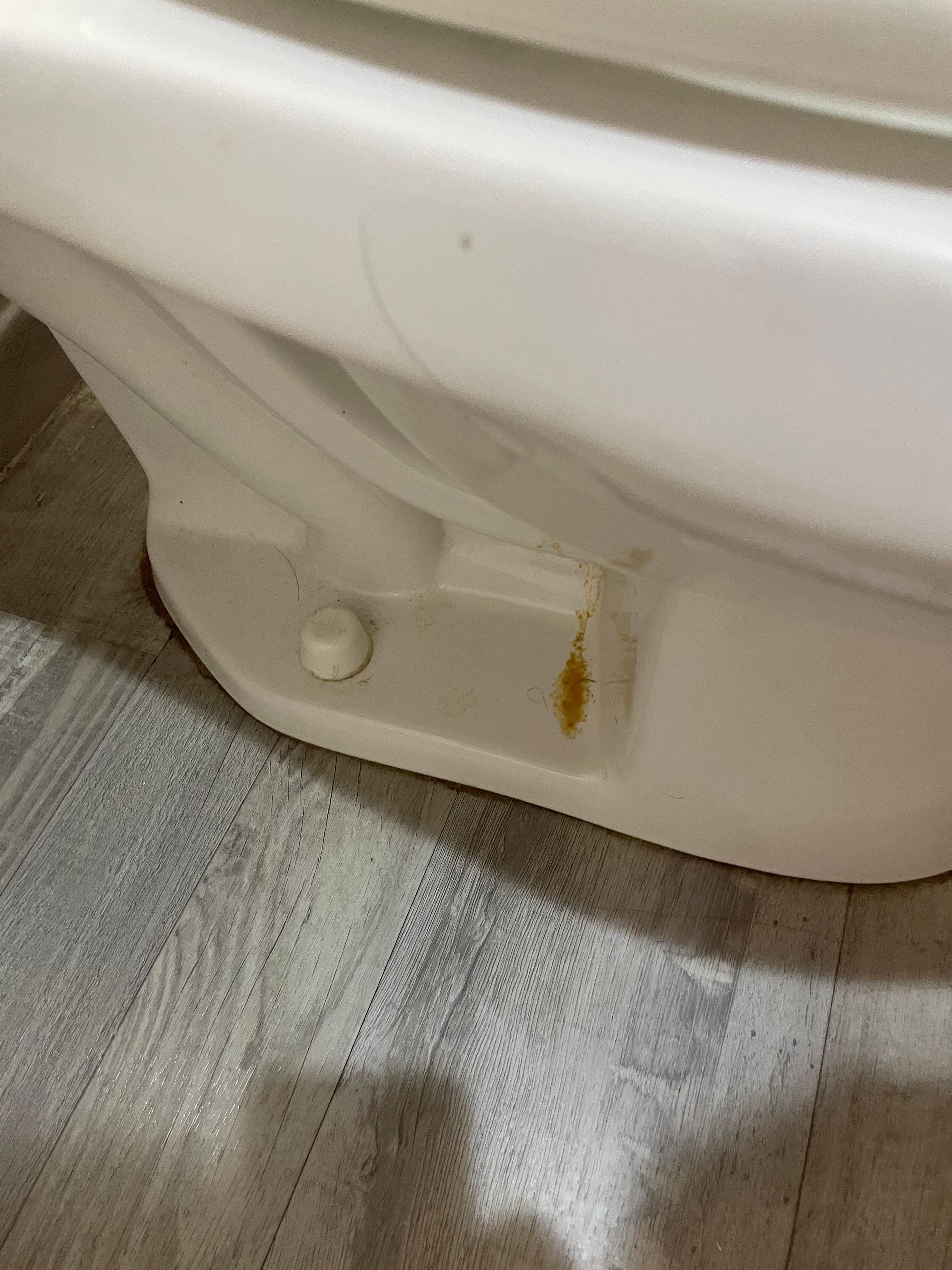 Pee stains