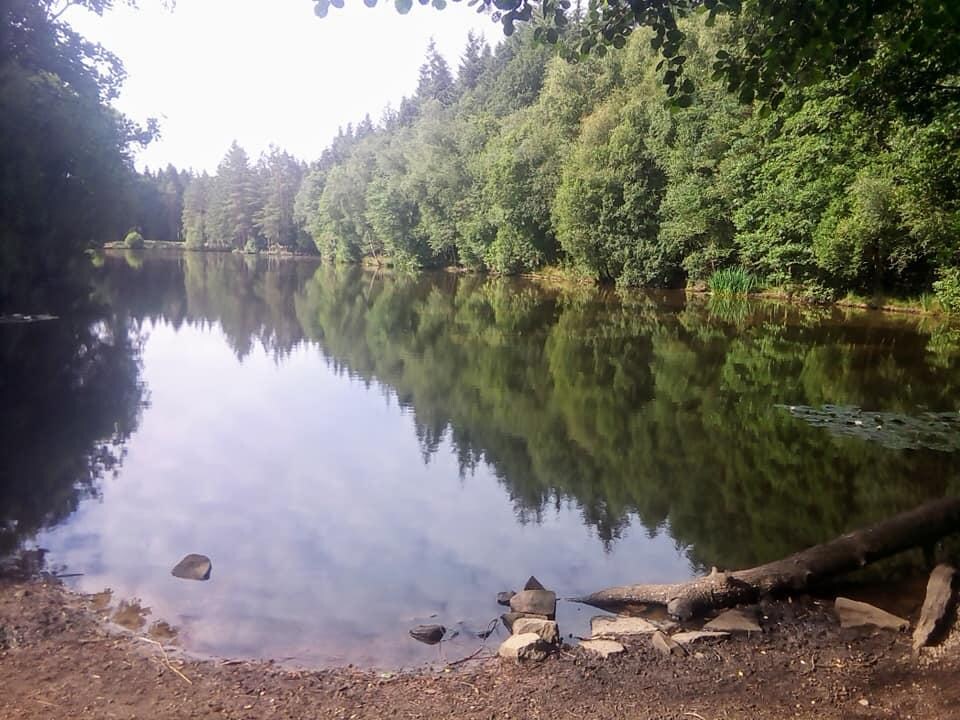 Speech House Lake