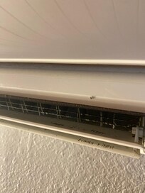 Killed gnat on the AC unit in the living room