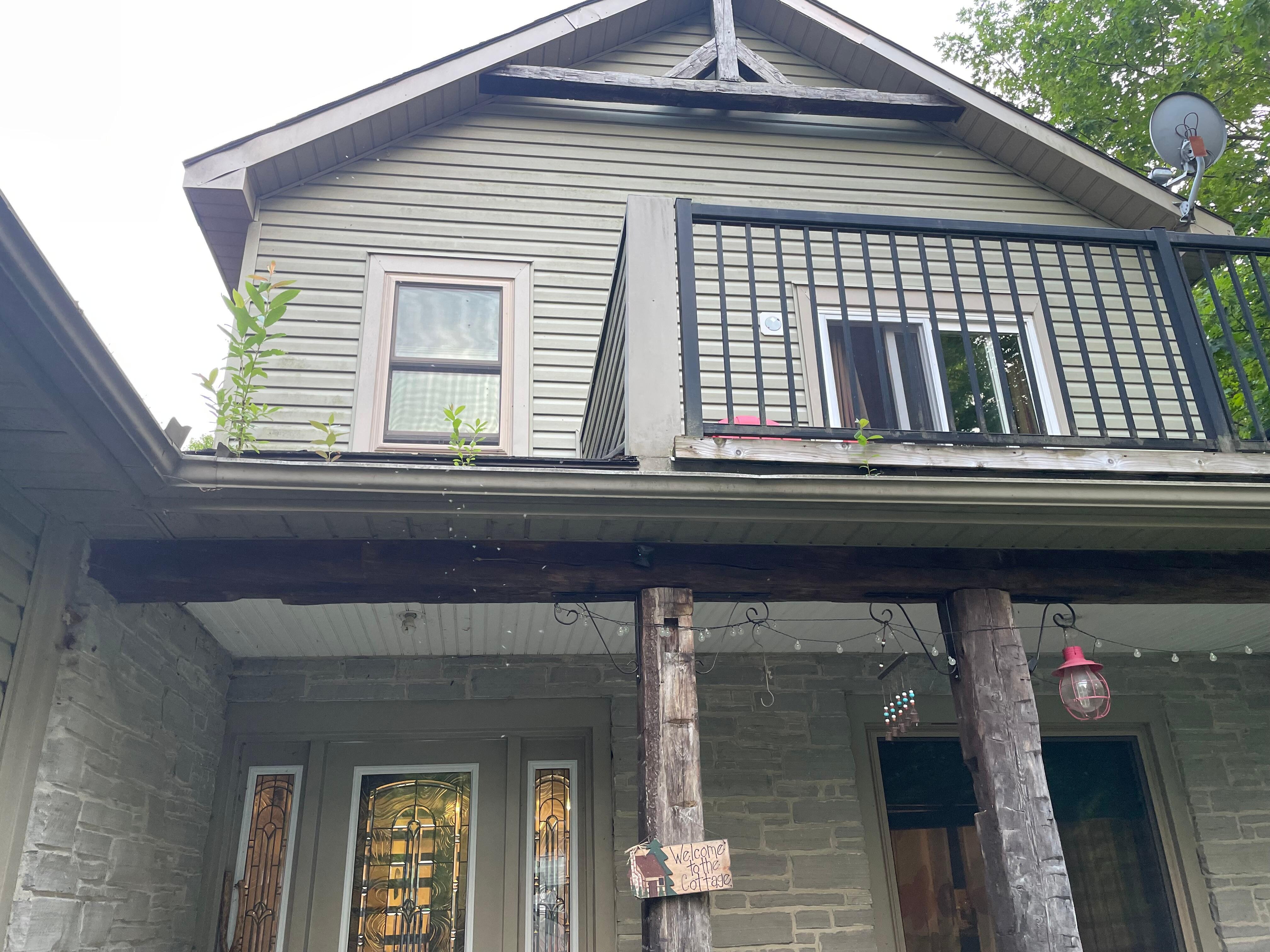 Gutters not cleaned for a while. 