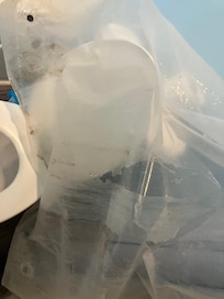 Mold on shower curtain