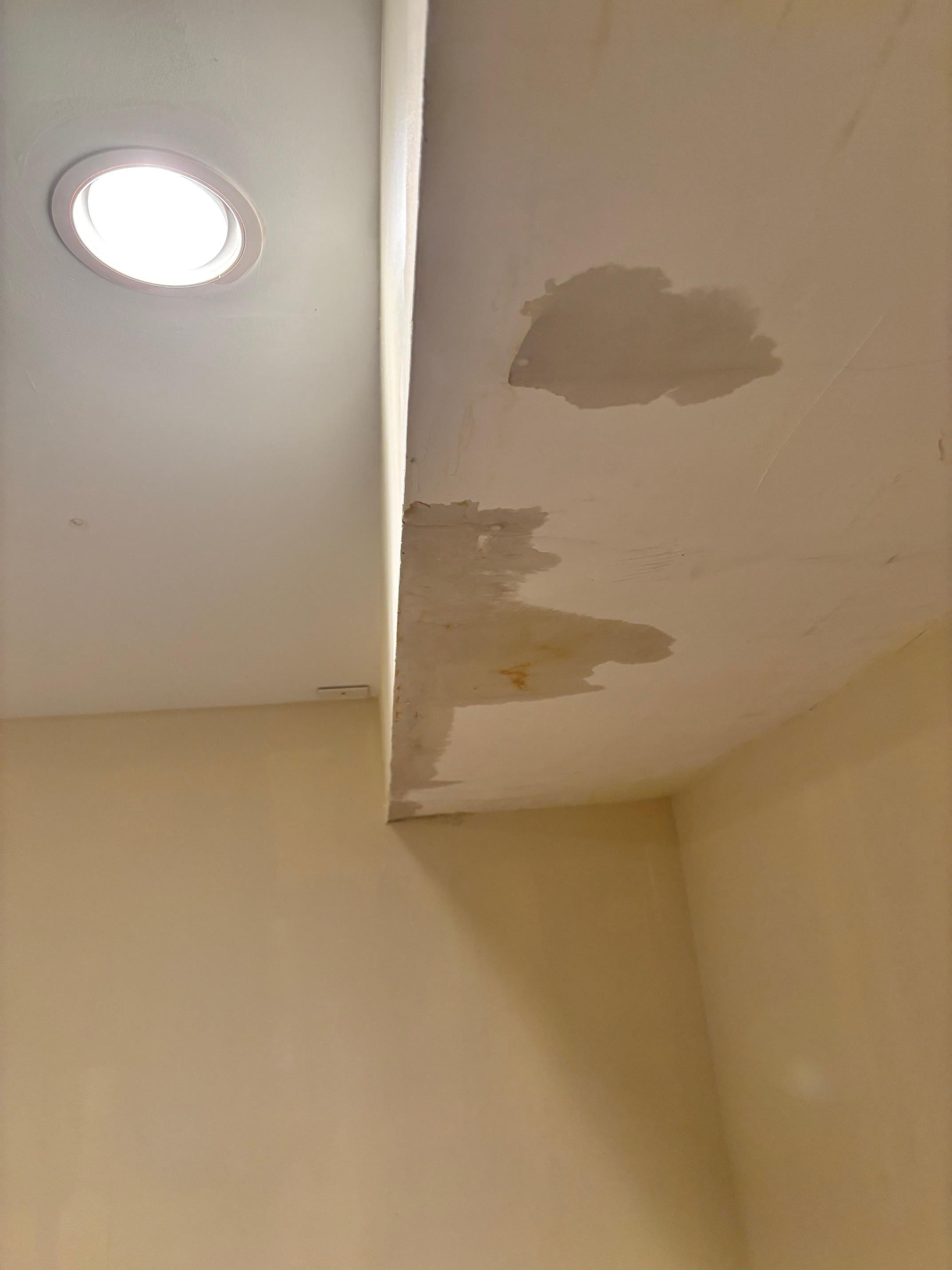 Ceiling leaking in basement