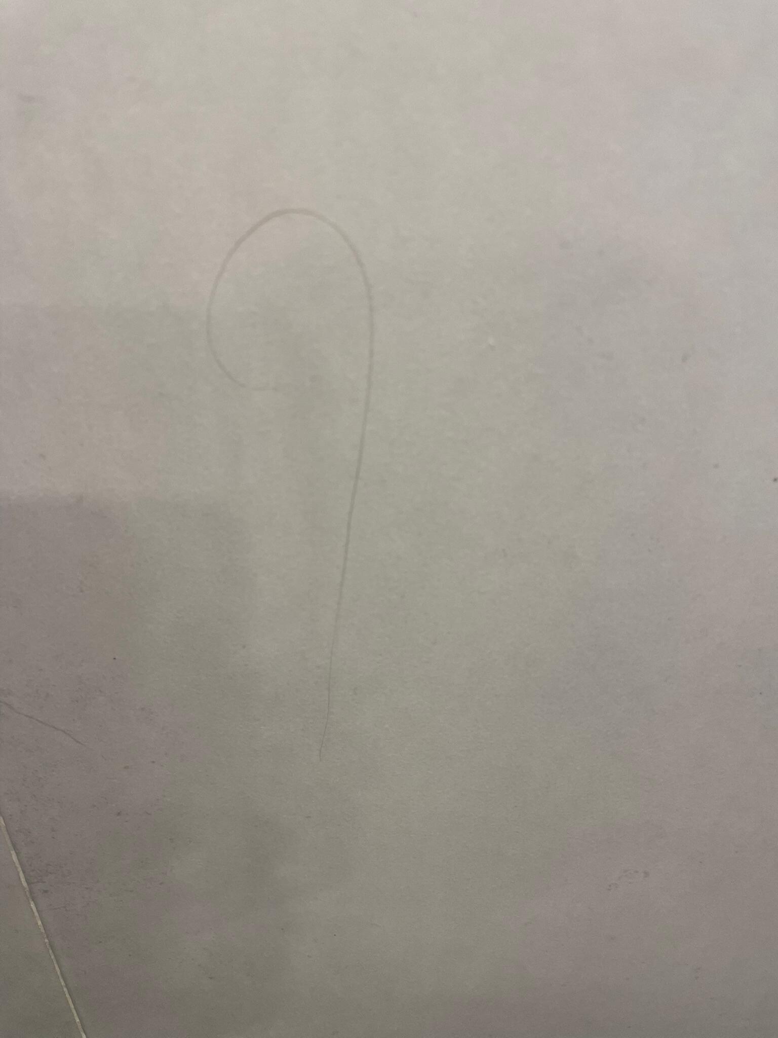 hair on the shower wall