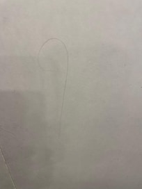 hair on the shower wall