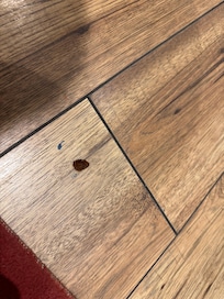 Raisin and filth on the kitchen floor