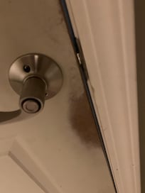 Doors into bathroom
