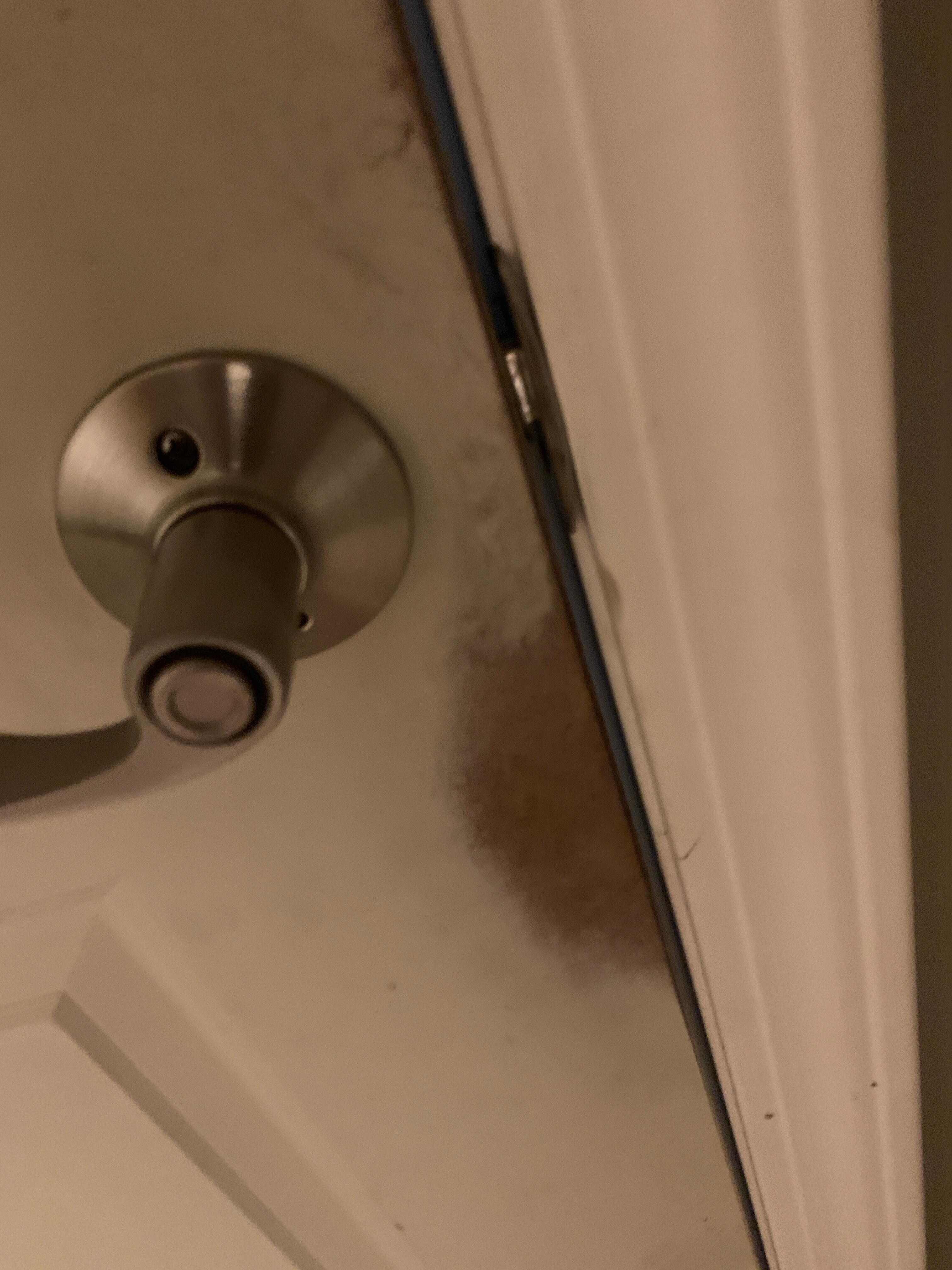 Doors into bathroom