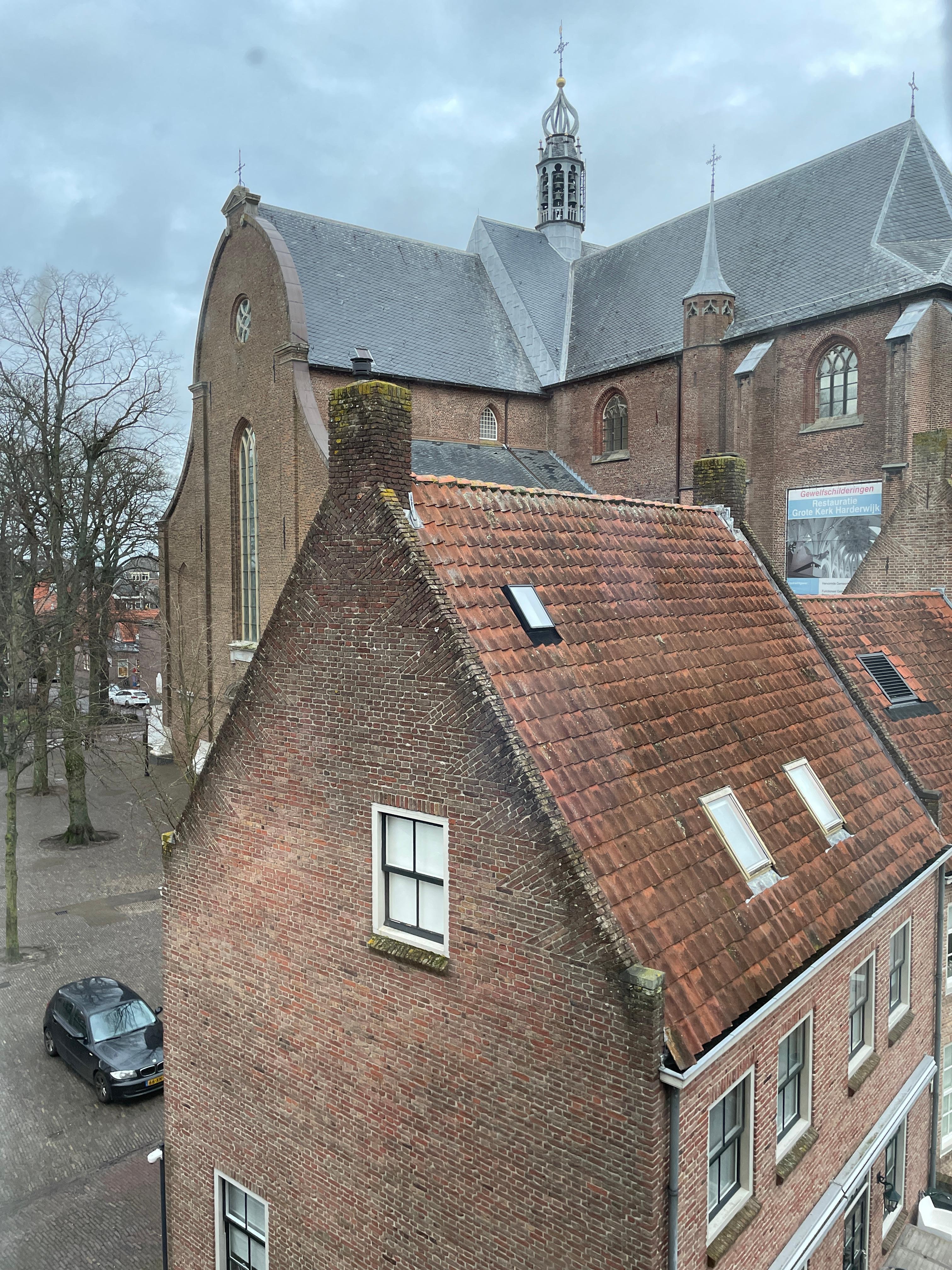 The view from my window 