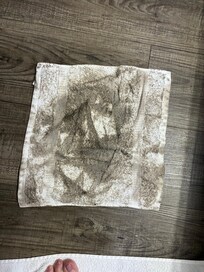 This is from me wiping the floor so I wouldn’t step in blood.