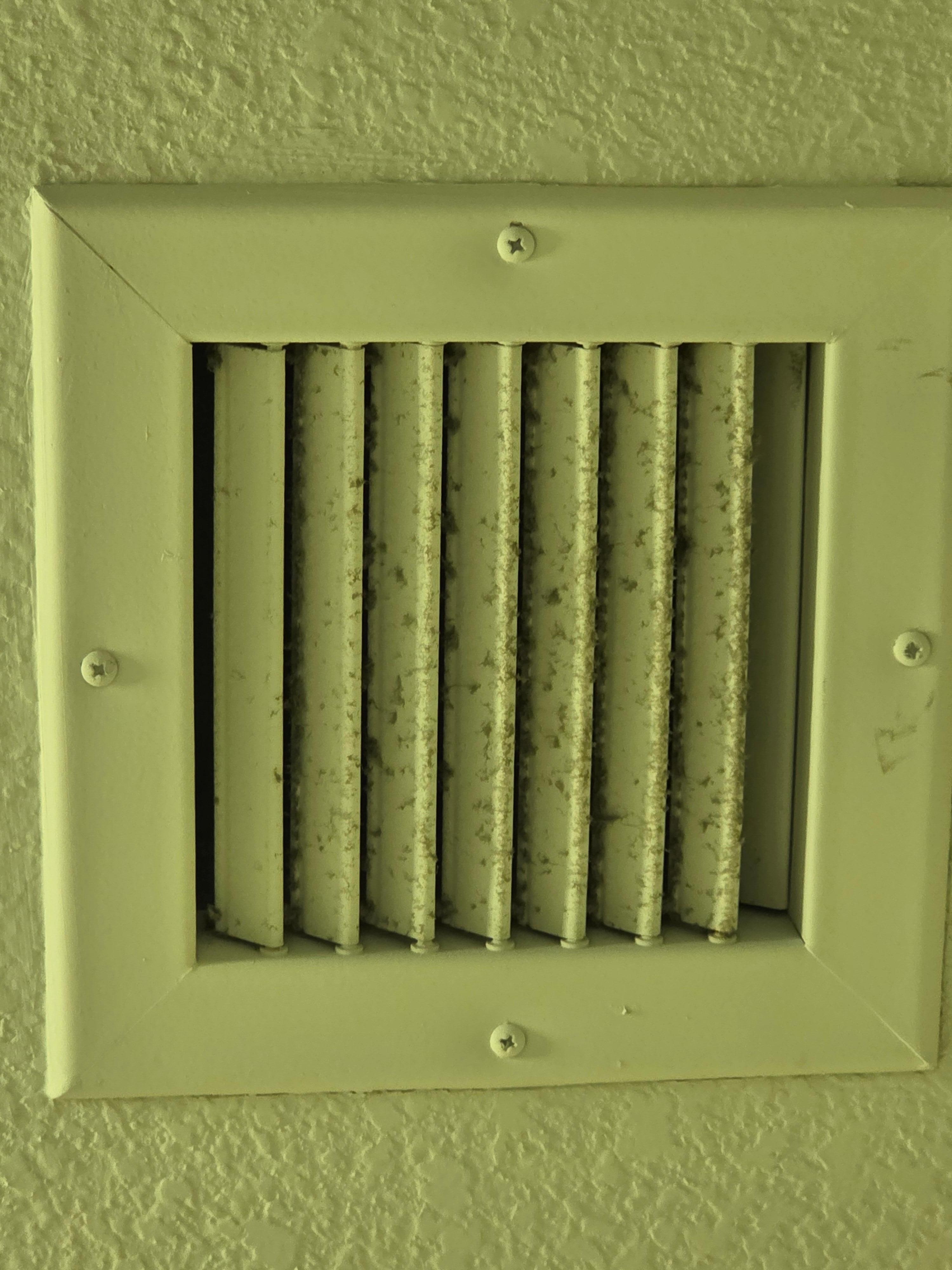 Ceiling vent in the bathroom, dirt/mold